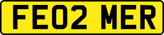 FE02MER