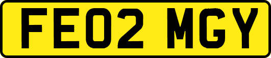 FE02MGY