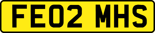 FE02MHS
