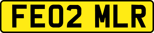 FE02MLR