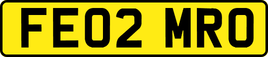 FE02MRO