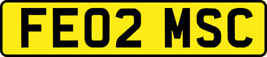 FE02MSC