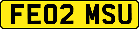 FE02MSU