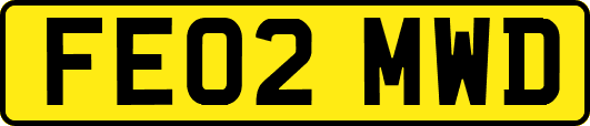 FE02MWD