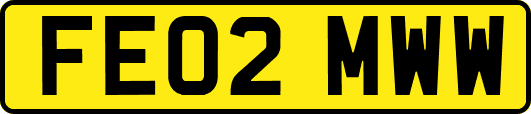 FE02MWW