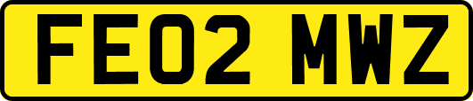 FE02MWZ