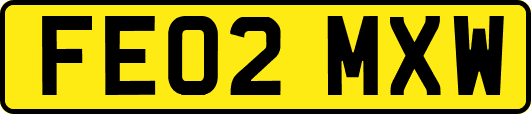 FE02MXW