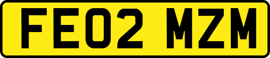 FE02MZM