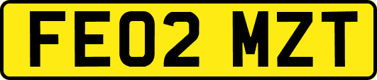 FE02MZT