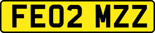FE02MZZ