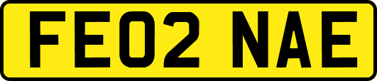 FE02NAE