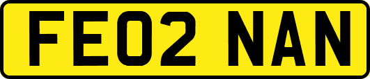 FE02NAN