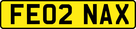 FE02NAX