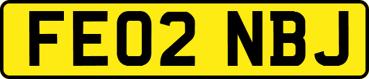 FE02NBJ
