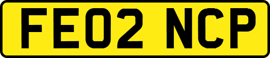 FE02NCP