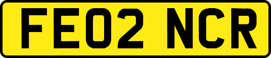 FE02NCR