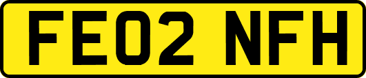 FE02NFH