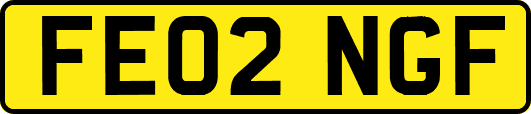 FE02NGF