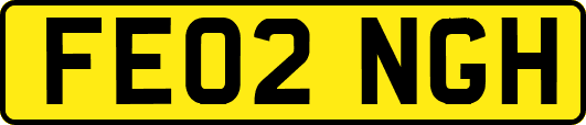 FE02NGH