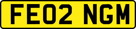 FE02NGM