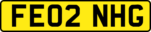 FE02NHG