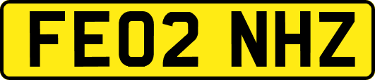 FE02NHZ