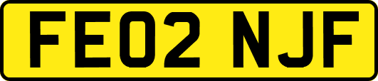 FE02NJF