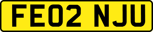 FE02NJU