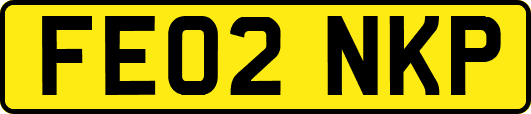 FE02NKP