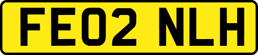 FE02NLH