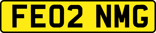 FE02NMG