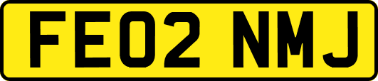 FE02NMJ