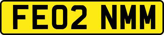 FE02NMM