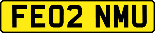 FE02NMU