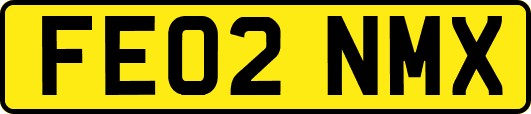FE02NMX