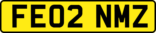 FE02NMZ