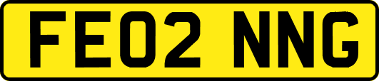 FE02NNG