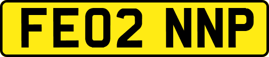 FE02NNP