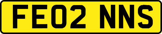 FE02NNS