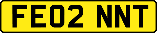 FE02NNT