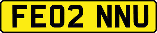 FE02NNU