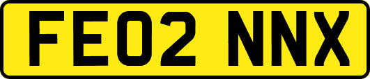 FE02NNX