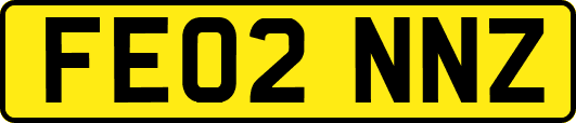 FE02NNZ