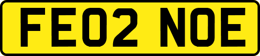 FE02NOE