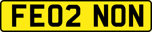 FE02NON