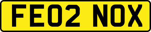 FE02NOX