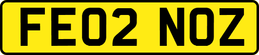 FE02NOZ