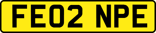 FE02NPE