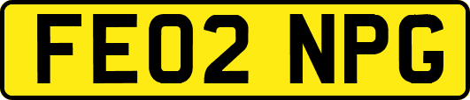 FE02NPG