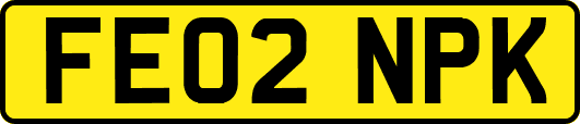 FE02NPK